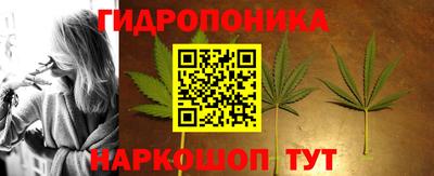 шишки Краснознаменск