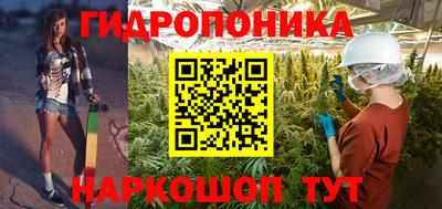 гашик Краснодар