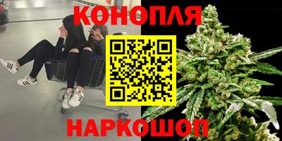 шишки Краснознаменск