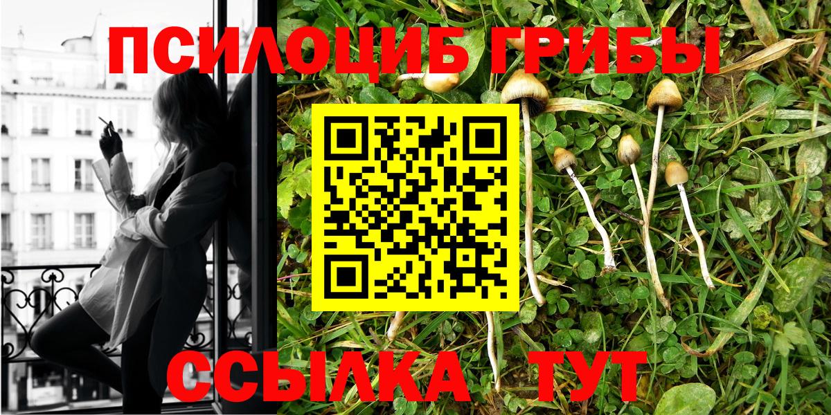 Псилоцибиновые грибы Psilocybe  Вход с VPN  Кувандык 