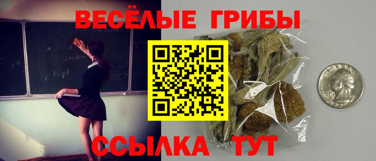 Галлюциногенные грибы прущие грибы Кувандык